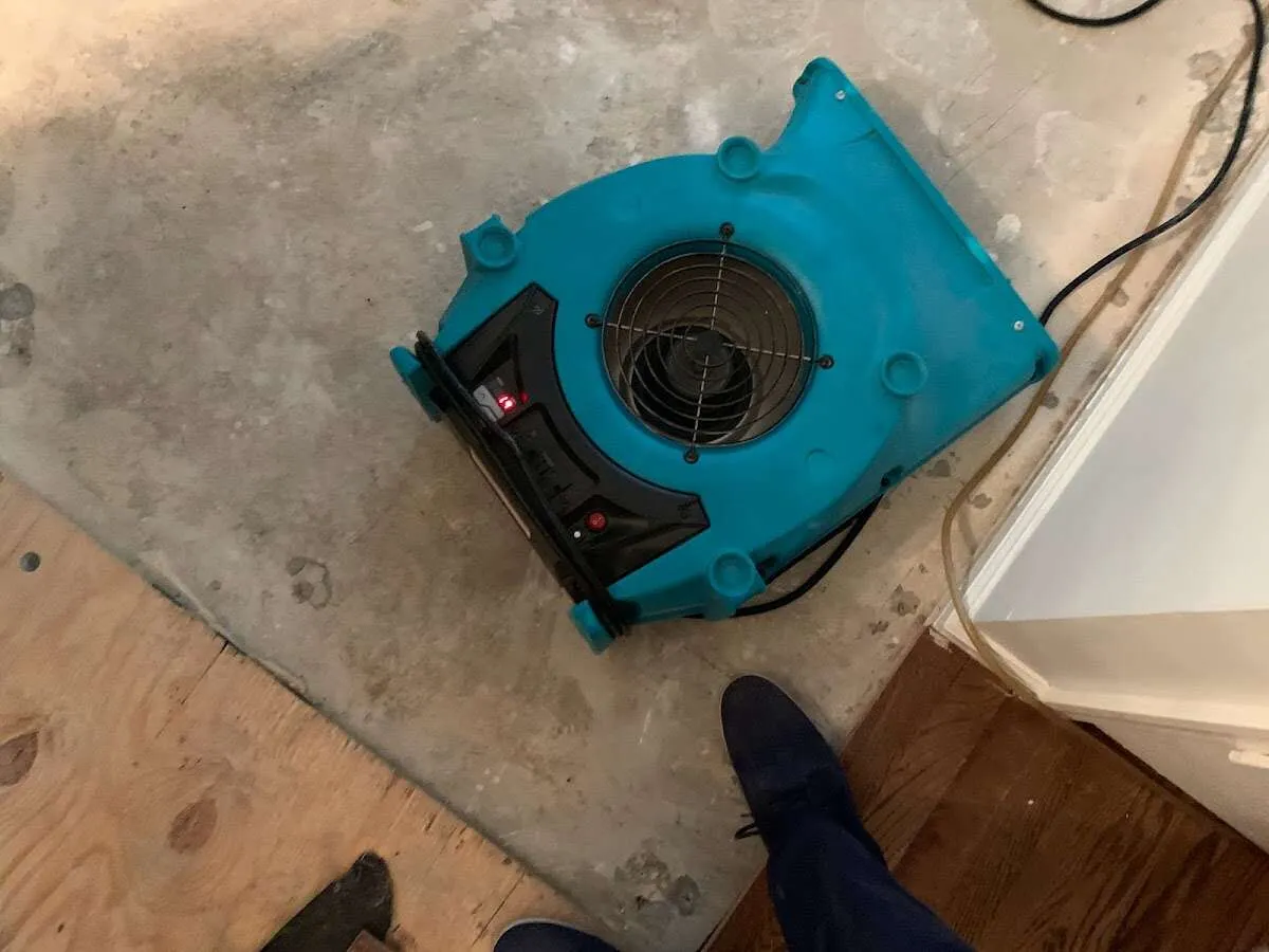 Air mover drying subfloor during Leak Detection & Repair in Longwood